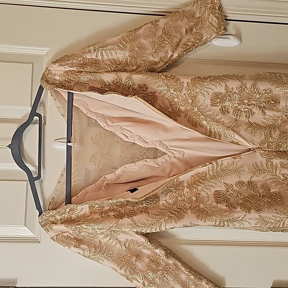 Tadashi Shoji Zuri Gold Embroidered Lace Dress Formal Mother of The Bride - Picture 14 of 16